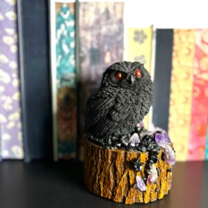 Collector Owl