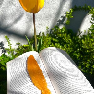Feather Bookmark